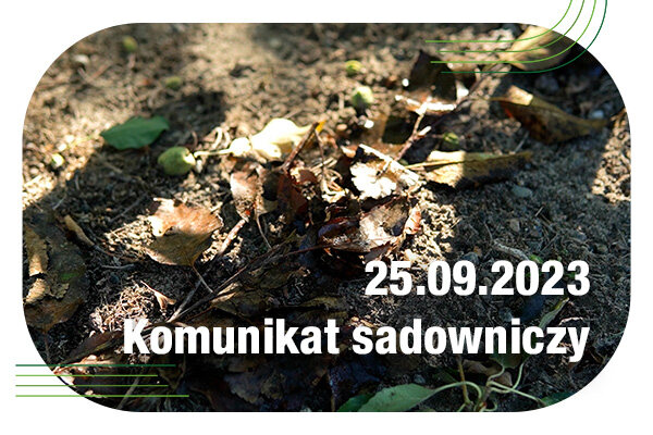 Komunikat sadowniczy 25.09.2023 r. // resztki pozbiorcze i ich właściwy rozkład